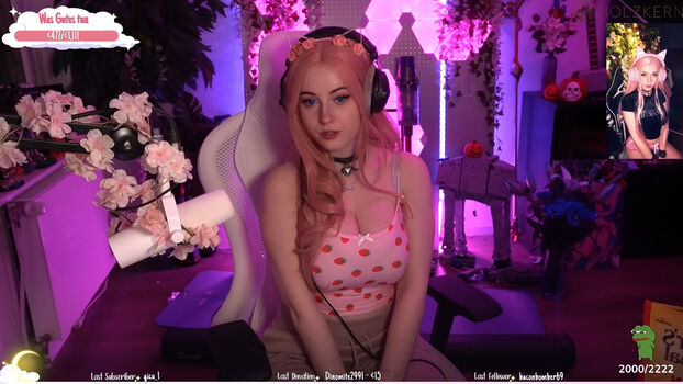 KDRkitten