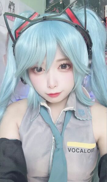 Kojimatsukumi