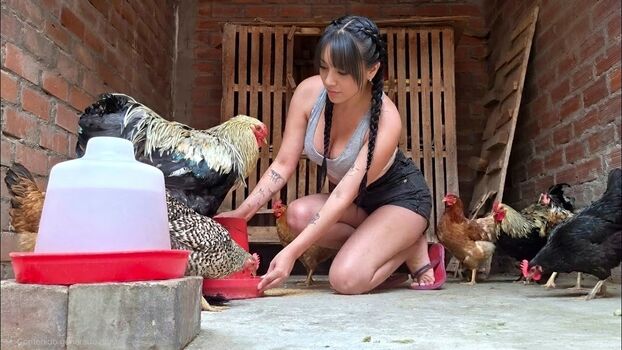 La Criadora De Gallinas