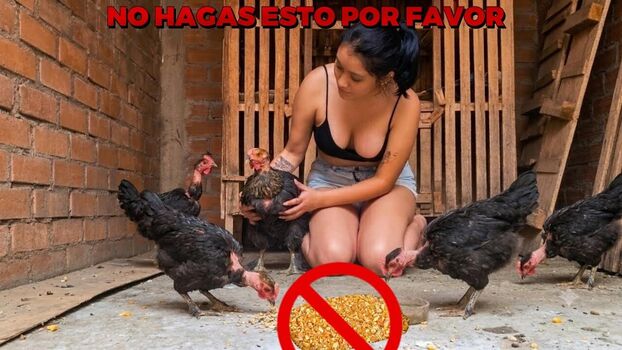 La Criadora De Gallinas