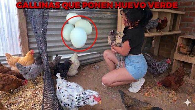 La Criadora De Gallinas