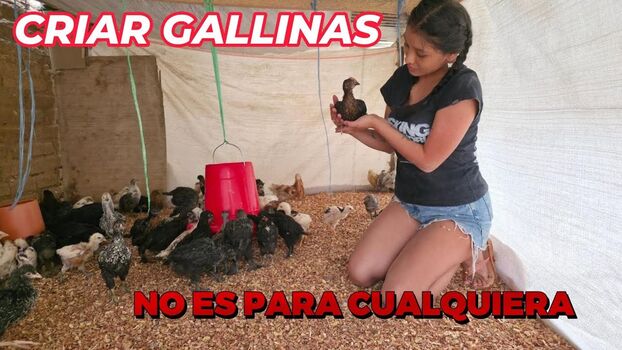 La Criadora De Gallinas