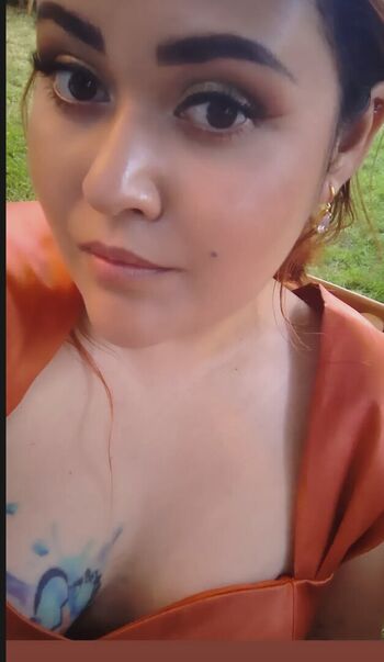 Paleta Iba