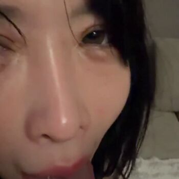 pjseibai