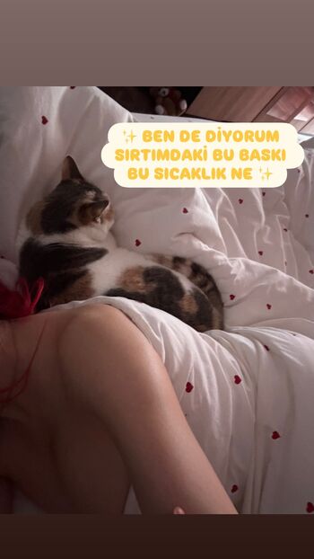 Zeynepiksy . Zeynep